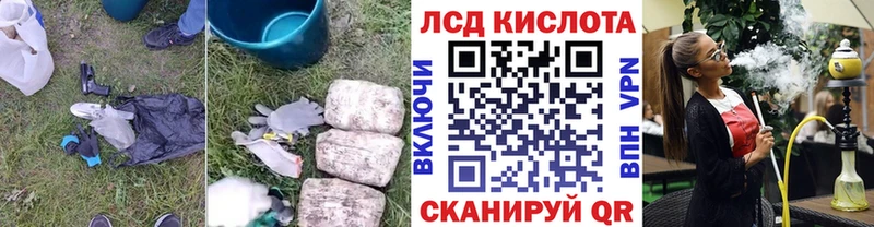 kraken онион  Грайворон  ЛСД экстази кислота  что такое наркотик 