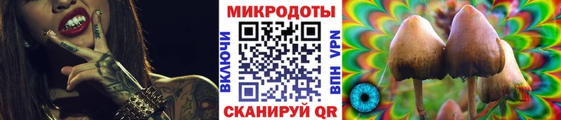 Псилоцибиновые грибы мицелий  закладка  Грайворон 